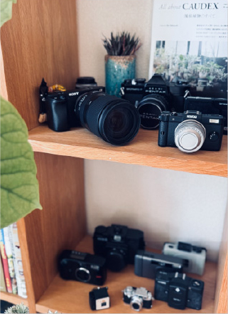 カメラコレクションの写真